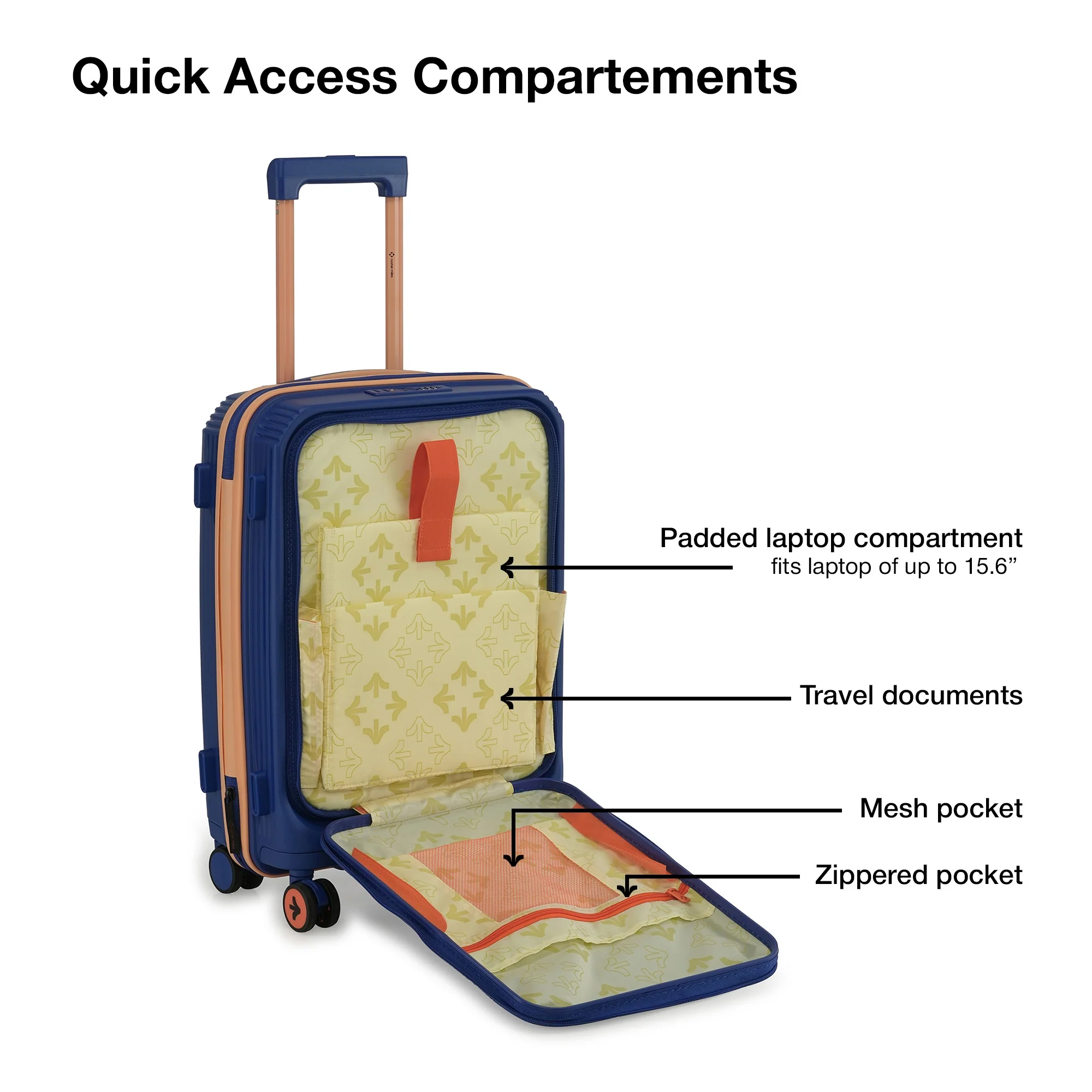 Alexandria - Image 6