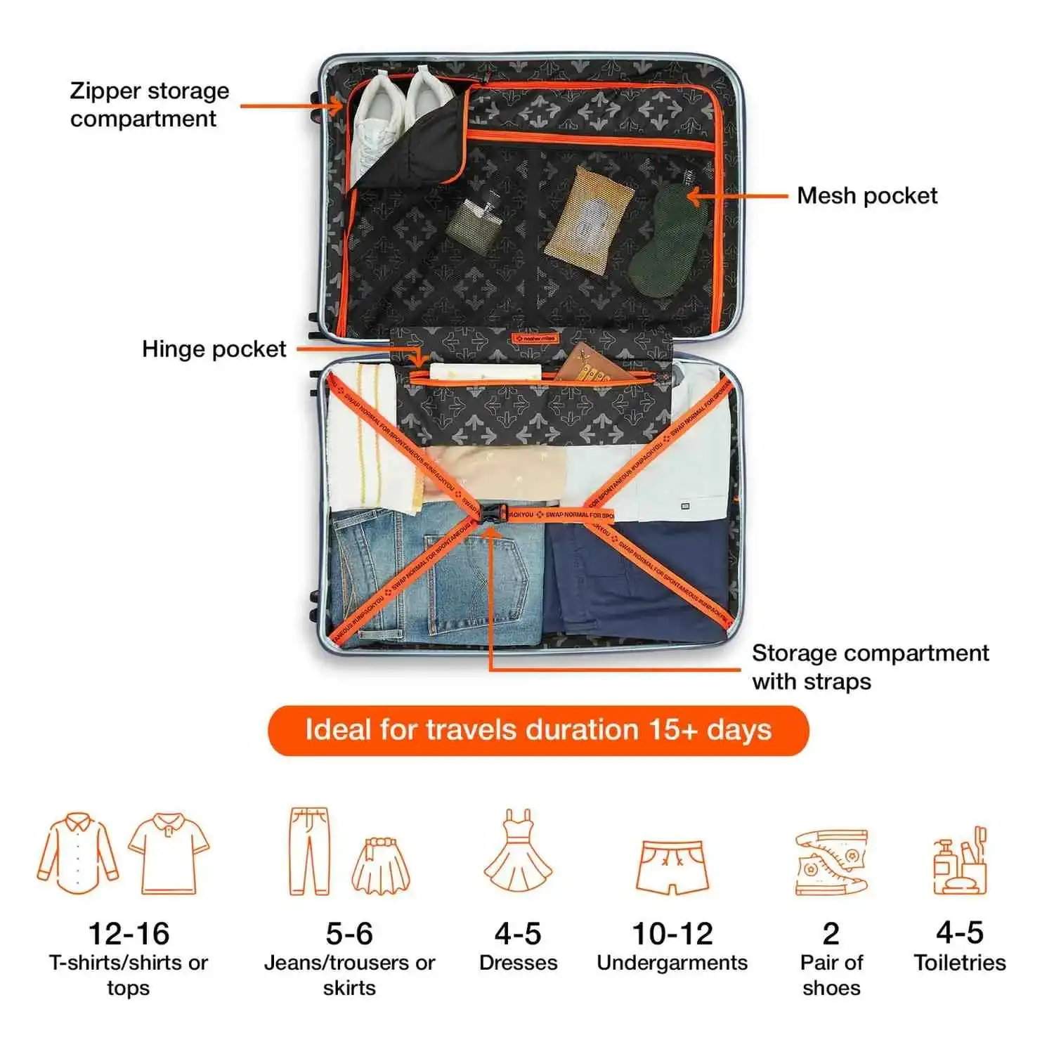 Springfield - Image 6